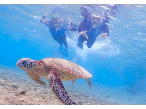 ウミガメ遭遇率100%☆１組限定プライベート空間☆ドローン水中撮影無料プレゼント！ウミガメシュノーケル〜OPEN記念特典有り〜の画像