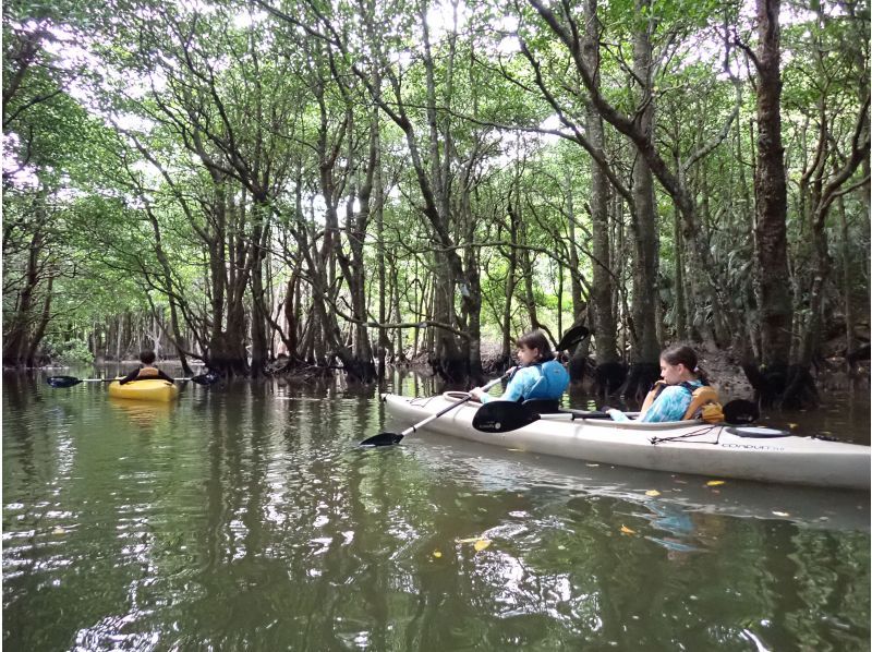 【北海道・SUP体験】透明度の高い支笏湖の湖面をクルージング！SUP体験（半日コース）の画像