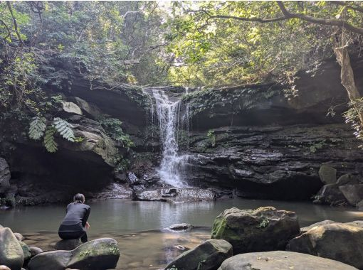 【  沖縄・西表島】1日マングローブSUP＋クーラ滝トレッキング（シャワー付き）の画像