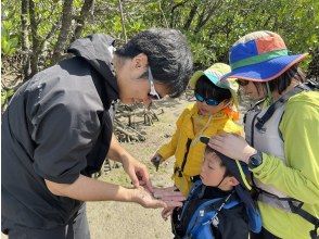【沖縄・西表島】虫に詳しい「虫にぃにぃ」と行く昆虫＆生物観察のマニアックツアー！マングローブカヌー＆トレッキングで希少生物との出会いを提供