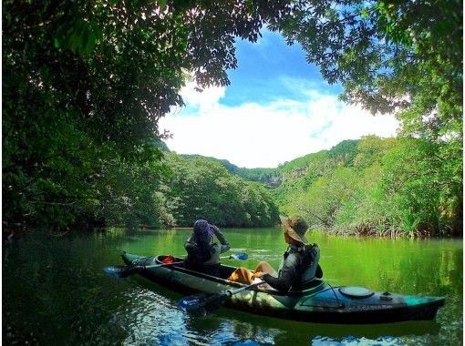 【西表島】世界自然遺産ピナイサーラの滝！圧巻の滝上・滝つぼの眺望＆マングローブでのカヌー体験も楽しむ！ファミリー・カップル・女性におすすめ！の画像
