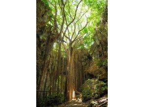 2026年4月～2026年9月【沖縄本島】那覇午後発　ガンガラーの谷ガイドツアー＆琉球ガラス村へご案内　南部観光半日バスツアー