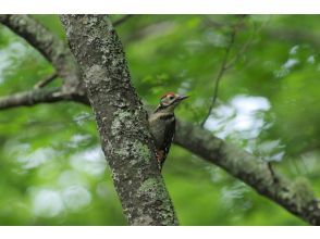 奥日光ゲストハウスJUN合同会社