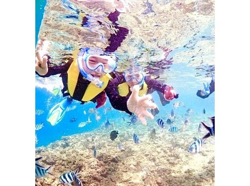 專屬教練陪同 ★ 提供中文服務，中文工作人員親切接待【美麗海水族館】不限年齡皆可參加！ 【含照片影片拍攝・餵食體驗・提供毛巾】 の画像