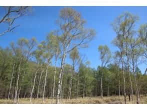 株式会社日光自然博物館