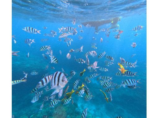 【宜野湾港マリーナ発】中型クルーザー完全貸切！クルージング、シュノーケル、釣り、最大10名まで乗船可能です貸切なので周りを気にせず遊べます！の画像