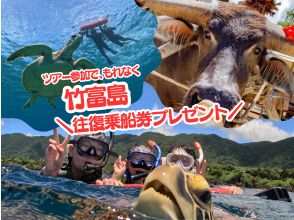 【竹富島往復船券プレゼントキャンペーン】青の洞窟＆ウミガメシュノーケル★当日予約2～75歳OK 〈写真データ無料〉体験時間1.5時間