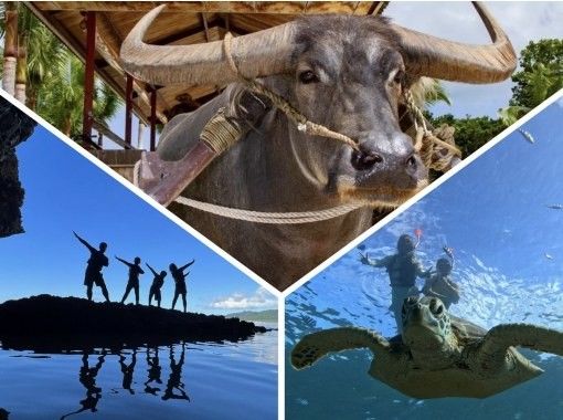 【青の洞窟/竹富島】新プラン！竹富島往復船チケット付き＆ウミガメシュノーケル★当日予約2～75歳OK 〈写真データ無料〉体験時間1.5時間の画像