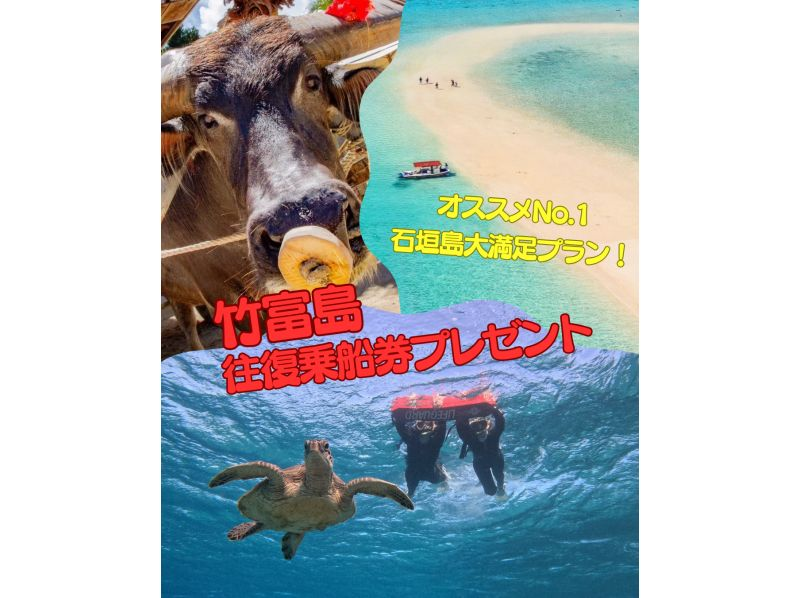 【北海道・SUP体験】透明度の高い支笏湖の湖面をクルージング！SUP体験（半日コース）の画像