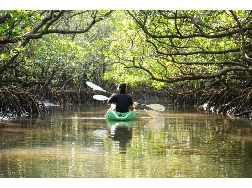 【石垣島マングローブカヤック】吹通川のトンネルを探検｜木漏れ日・自然の音・生き物との出会い｜写真動画無料の画像