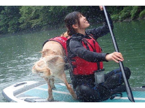 ⭐︎期間限定⭐︎【東京・奥多摩】わんちゃんと一緒に！白丸湖でDOG SUPツアー　写真データ付☆の画像