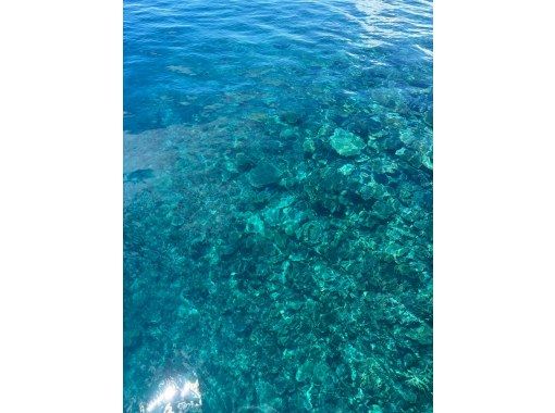 【宮古島 秘境サンゴ礁 】サンダンビジ グラスボート＆シュノーケルツアー 【漁師ガイド／水中撮影無料】の画像