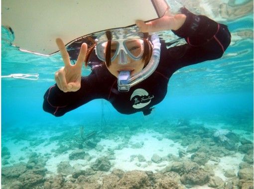 【鹿児島・奄美大島】1日シュノーケルで海遊び！サンゴもウミガメも見に行こう！（お弁当サービス付）の画像