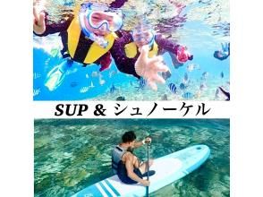 完全貸切プラン【美ら海近く】シュノーケリング＆SUPプラン【写真撮影・餌付け体験・タオル付】本部・北部・水納島