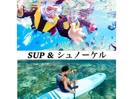 完全貸切プラン【美ら海近く】シュノーケリング＆SUPプラン【写真撮影・餌付け体験・タオル付】本部・北部・名護・やんばるの画像