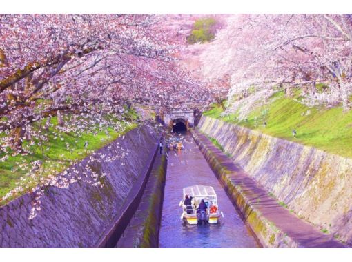 【滋賀・大津】【特等席のお花見】桜のびわ湖疏水船クルーズと名刹・三井寺の歴史文化に触れる旅の画像