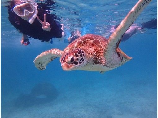 【沖縄・糸満】1組限定プライベートシュノーケリング・初心者・お子様連れ歓迎・少人数制・女性インストラクターが案内の画像