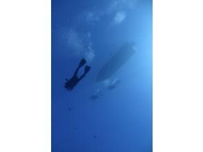 【沖縄・糸満フィッシャリーナ発】ボートダイビング・1組限定・少人数制・初心者OK・女性インストラクターが案内します