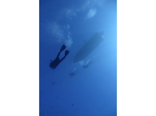 【沖縄・糸満フィッシャリーナ発】ボートダイビング・1組限定・少人数制・初心者OK・女性インストラクターが案内しますの画像