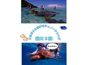 【宮古島/少人数】ウミガメと泳げるシュノーケリングツアー！遭遇率100%継続中！最大2組でのご案内♪