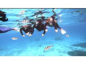 ☆春休み企画！学生グループ割セール・ウェットスーツ無料☆美しい珊瑚礁や熱帯魚に高確率でウミガメに欲張りシュノーケリングプラン【沖縄・宮古島】