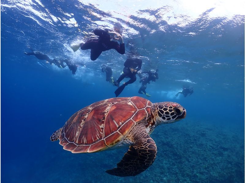 【北海道・SUP体験】透明度の高い支笏湖の湖面をクルージング！SUP体験（半日コース）の画像