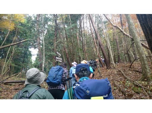【福島・いわき】いわきあるき【初心者向け低山登山プラン】朝日山登山の画像