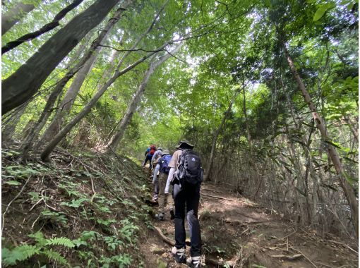 【福島・いわき】【ガイドと歩く「いわきあるき」】明神山登山～初心者向けいわきの低山登山～の画像