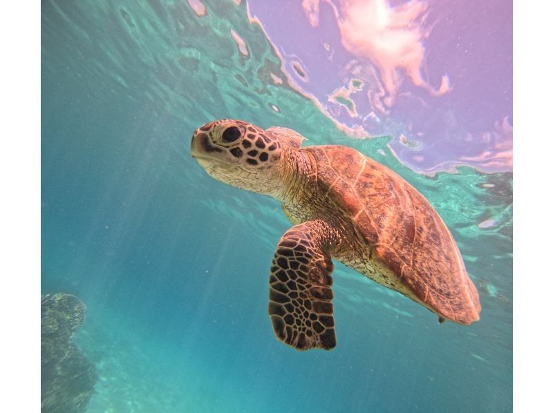 【北海道・SUP体験】透明度の高い支笏湖の湖面をクルージング！SUP体験（半日コース）の画像