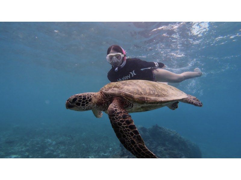 【北海道・SUP体験】透明度の高い支笏湖の湖面をクルージング！SUP体験（半日コース）の画像