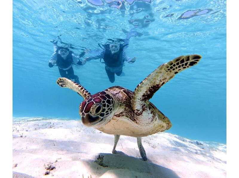 【北海道・SUP体験】透明度の高い支笏湖の湖面をクルージング！SUP体験（半日コース）の画像