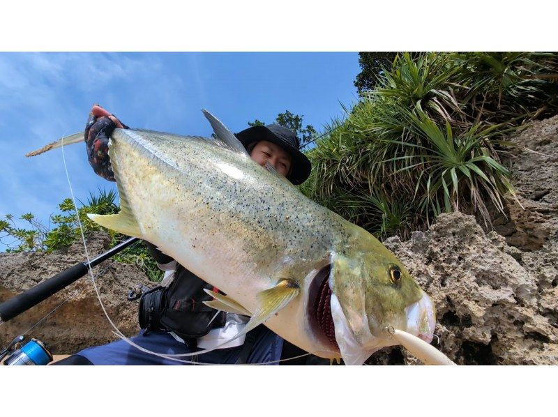 【北海道・SUP体験】透明度の高い支笏湖の湖面をクルージング！SUP体験（半日コース）の画像