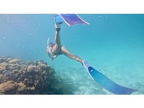 【沖縄・石垣】　スキンダイビングツアー　お一人～参加　OK！！【レンタル込み】【動画・写真プレゼント】【Gopro レンタル】【シャワー付】