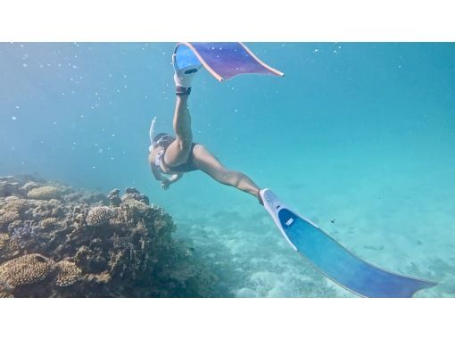 【沖縄・石垣】　スキンダイビングツアー　お一人～参加　OK！！【レンタル込み】【動画・写真プレゼント】【Gopro レンタル】【シャワー付】の画像