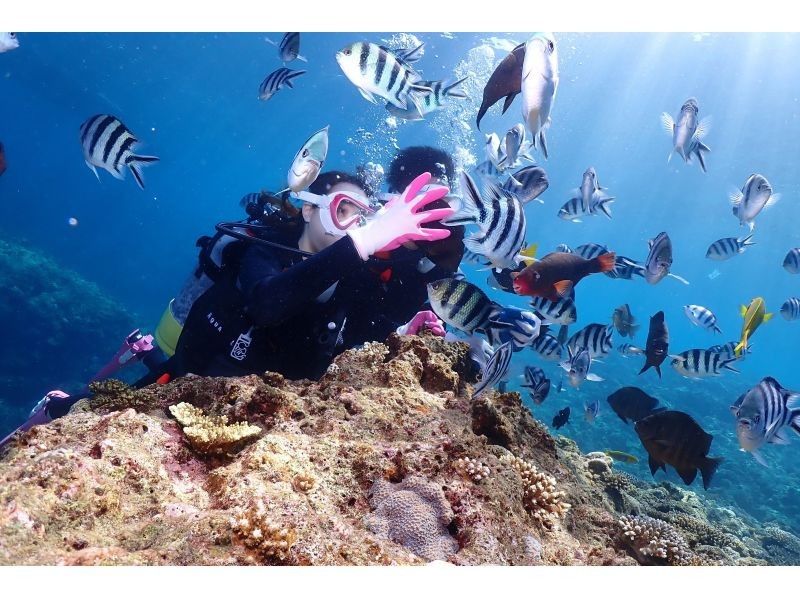 【北海道・SUP体験】透明度の高い支笏湖の湖面をクルージング！SUP体験（半日コース）の画像