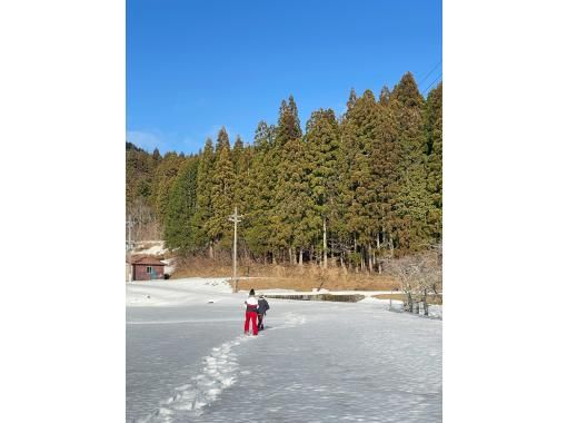 【兵庫・但馬／ハチ北】雪の森スノーシューガイドツアー　〜 ゲレンデを離れ、静寂の冬山を歩く 〜 の画像