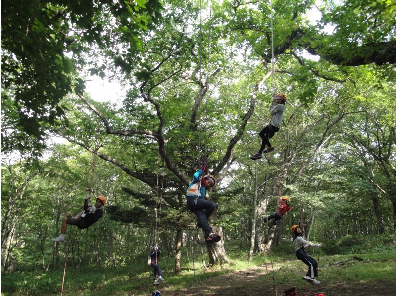 【北海道・SUP体験】透明度の高い支笏湖の湖面をクルージング！SUP体験（半日コース）の画像