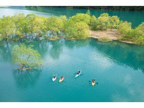 【期間限定】秋扇湖で水没林カヤックツアー