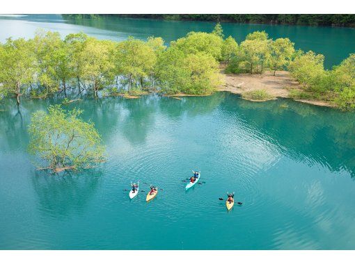 【期間限定】秋扇湖で水没林カヤックツアーの画像