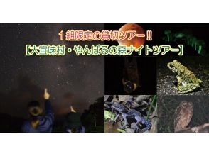 やんばる観光クリエイトぶながやー