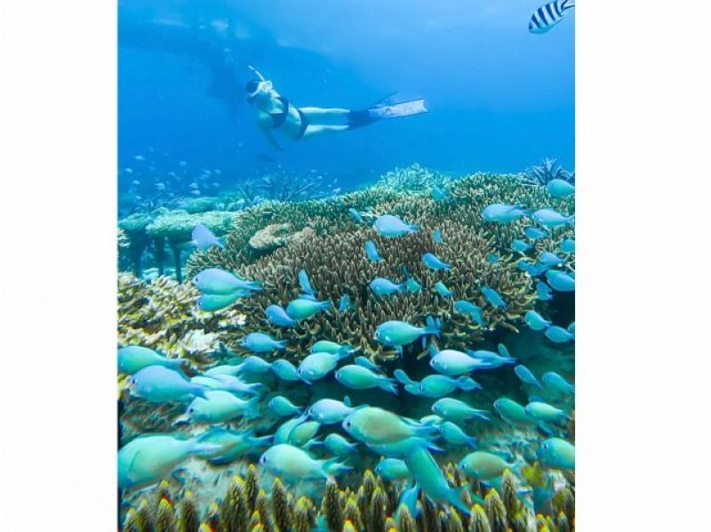 【北海道・SUP体験】透明度の高い支笏湖の湖面をクルージング！SUP体験（半日コース）の画像