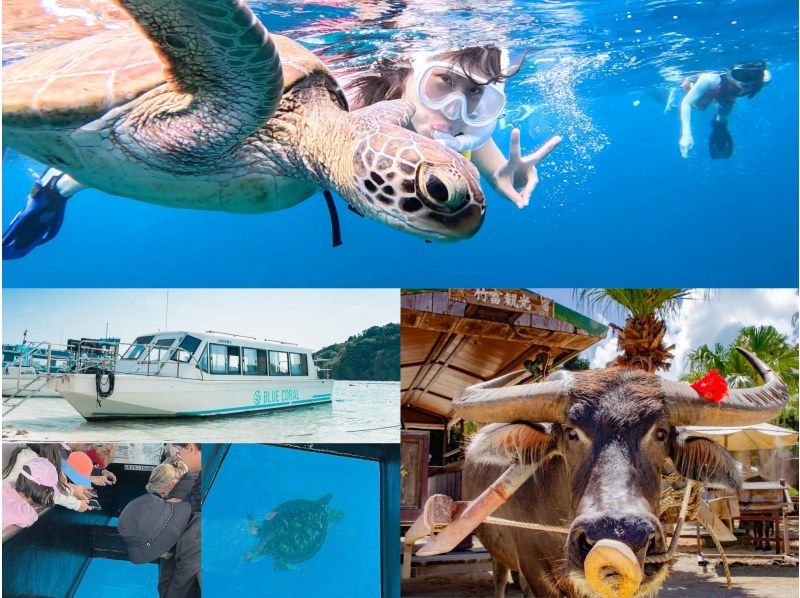【北海道・SUP体験】透明度の高い支笏湖の湖面をクルージング!SUP体験(半日コース)の画像