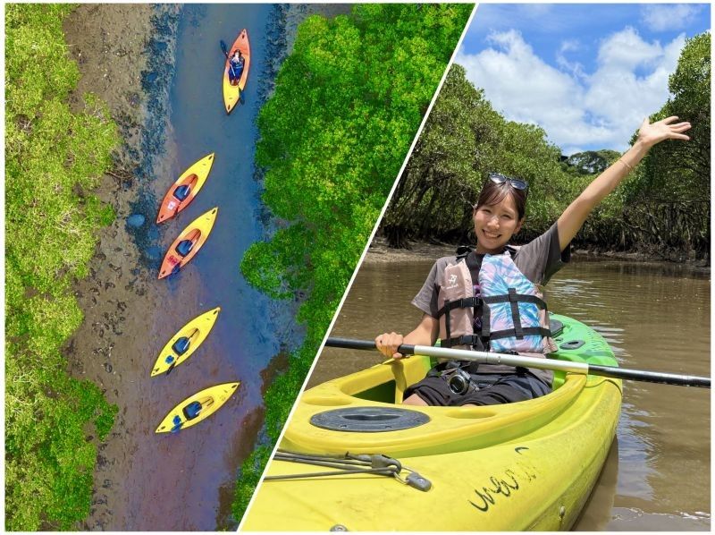 【北海道・SUP体験】透明度の高い支笏湖の湖面をクルージング！SUP体験（半日コース）の画像
