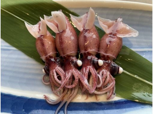 "【富山市】富山湾の「神秘」ホタルイカの特殊な世界！ ホタルイカ漁師と楽しむ特別な朝食体験"