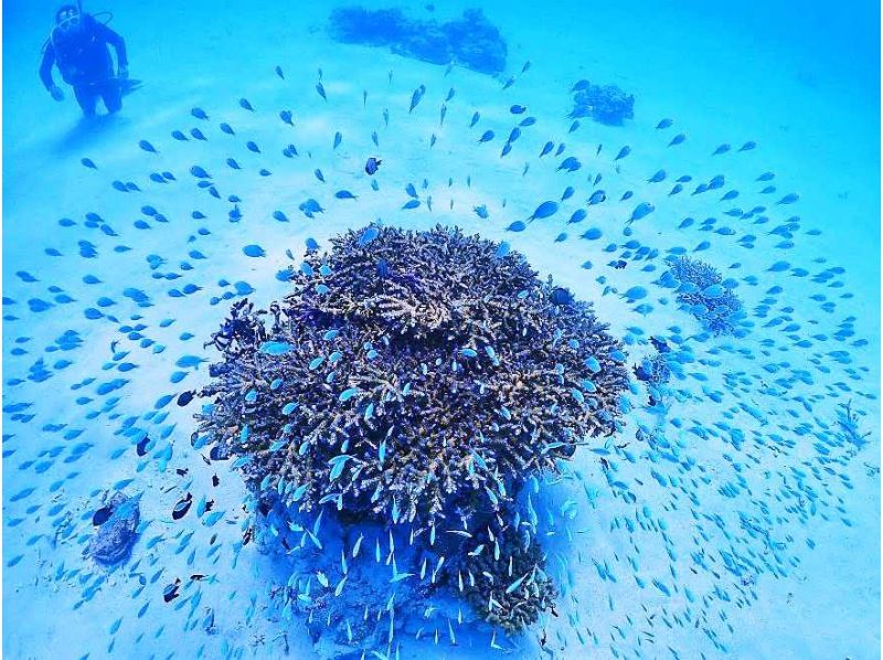 【北海道・SUP体験】透明度の高い支笏湖の湖面をクルージング！SUP体験（半日コース）の画像