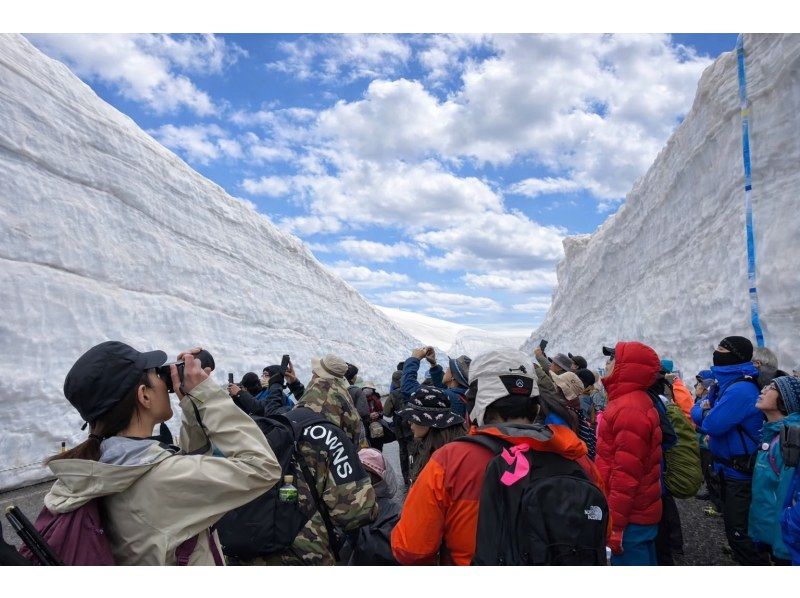 【北海道・SUP体験】透明度の高い支笏湖の湖面をクルージング！SUP体験（半日コース）の画像