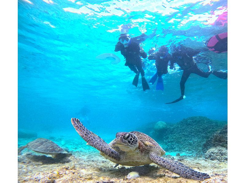 【北海道・SUP体験】透明度の高い支笏湖の湖面をクルージング！SUP体験（半日コース）の画像