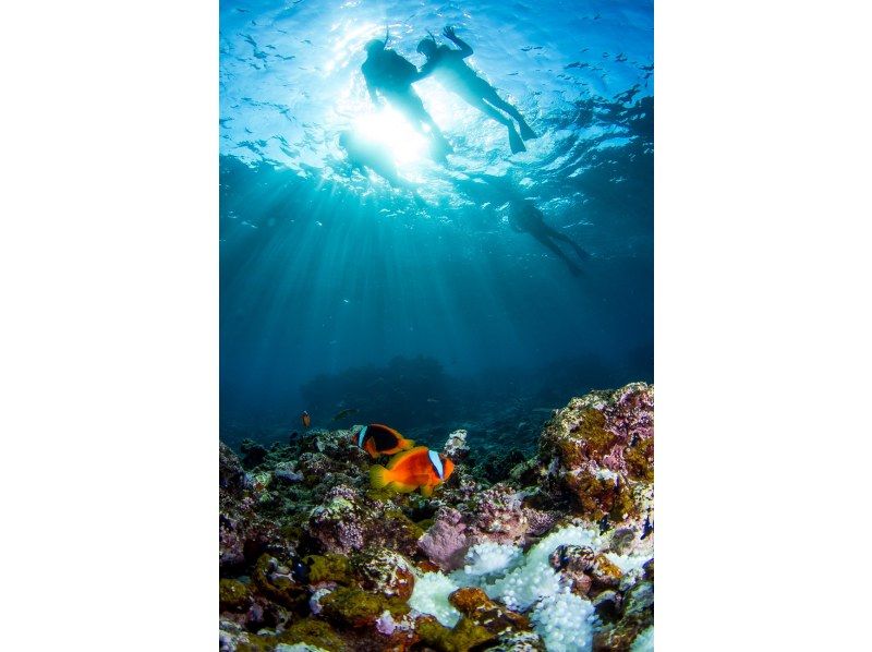 【北海道・SUP体験】透明度の高い支笏湖の湖面をクルージング！SUP体験（半日コース）の画像