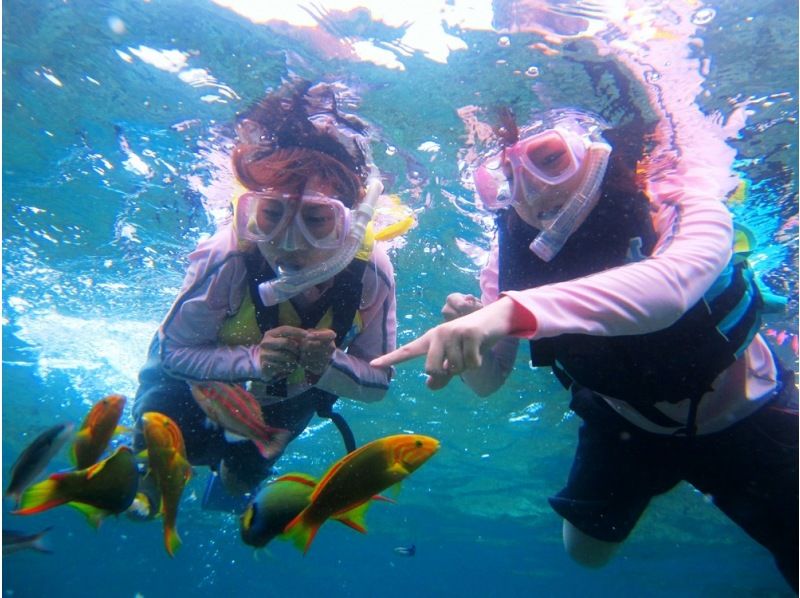【北海道・SUP体験】透明度の高い支笏湖の湖面をクルージング！SUP体験（半日コース）の画像