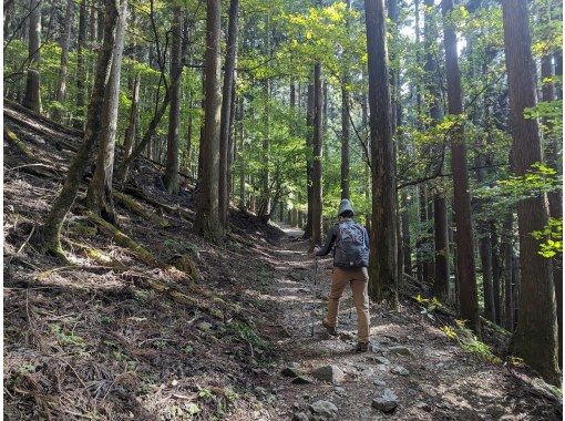 【埼玉・秩父】縄文杉完歩トレーニングツアー|少人数制・屋久島登山の事前体力づくりに 【埼玉・秩父】縄文杉完歩トレーニングツアー|少人数制・屋久島登山の事前体力づくりに